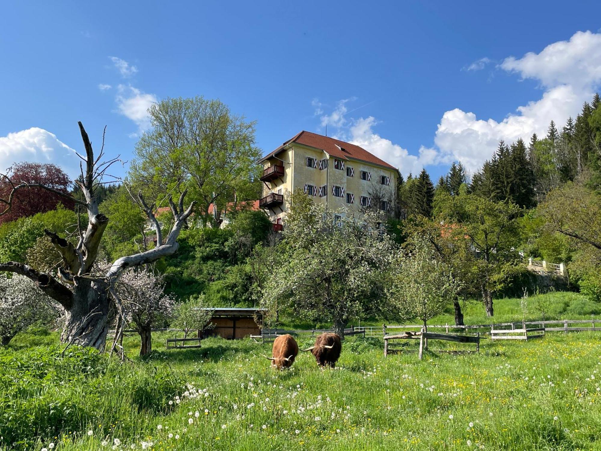 Hotel Landsitz Pichlschloss Neumarkt in Steiermark Exteriér fotografie
